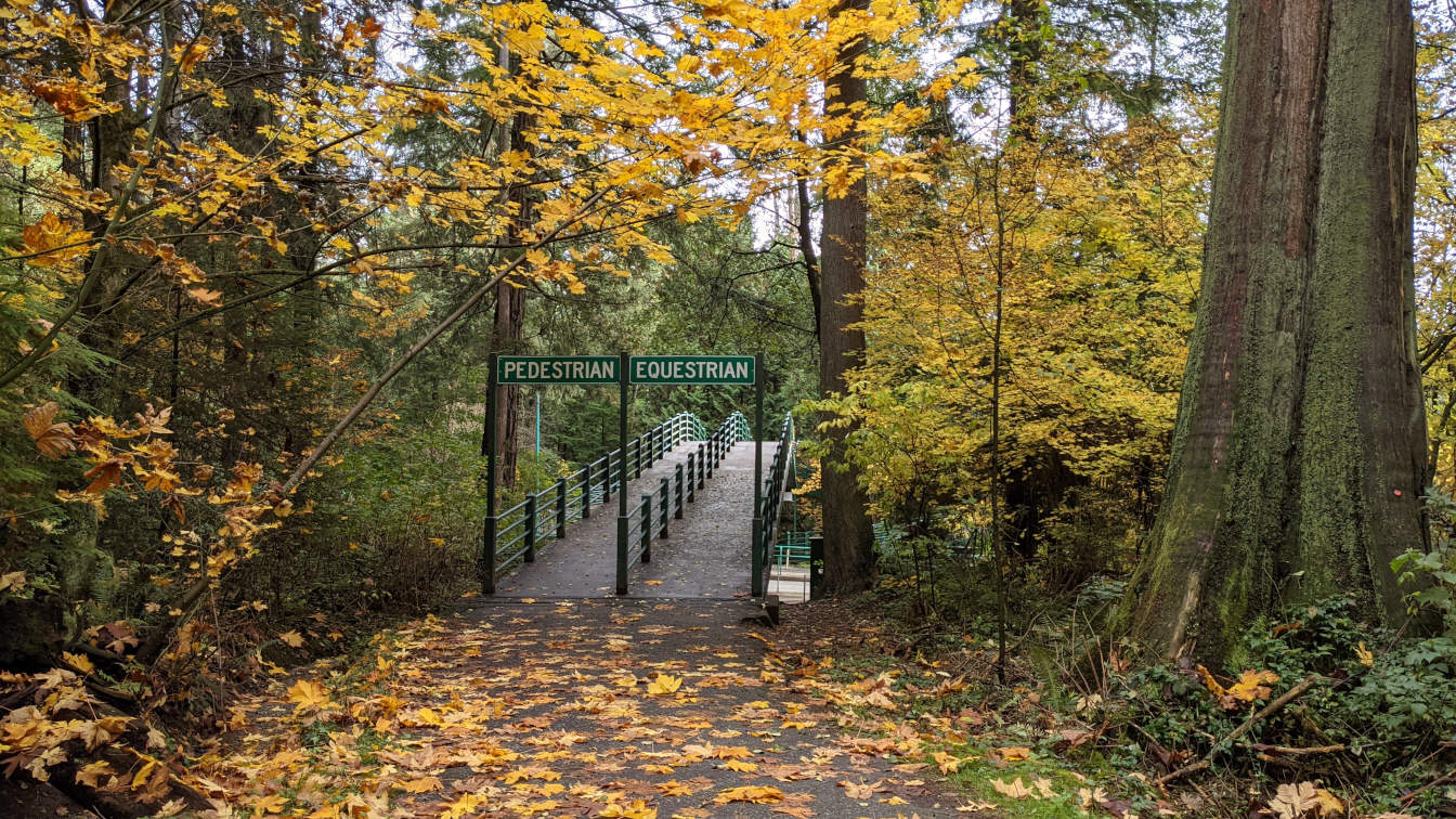 A split bridge in Stanley Park